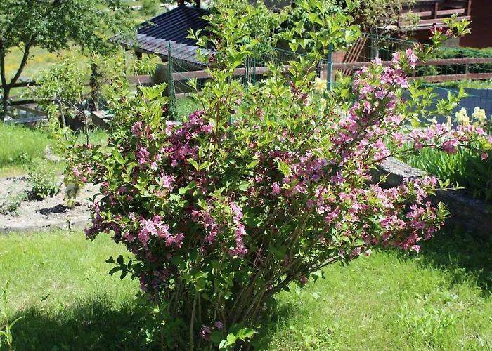 Casa Per Ferie Beatorosaz 2* Cesana Torinese